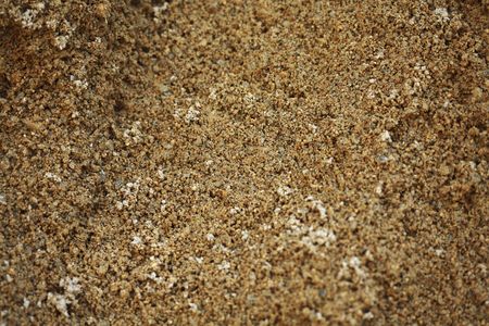 Sand textureの写真素材