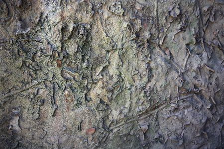 Rough surface