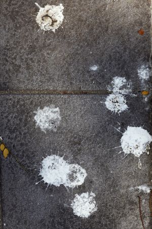 Bird droppings on pavementの写真素材