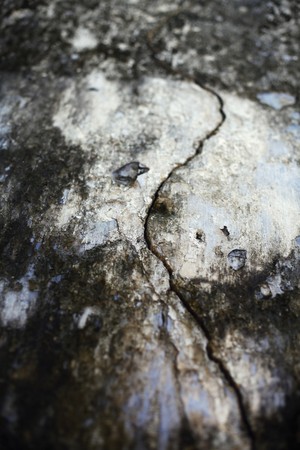 Cracked wallの写真素材