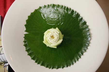 Flower on leafの写真素材