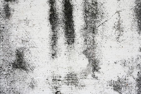 Cement wallの写真素材