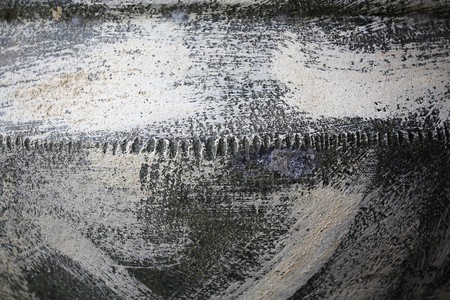 Close-up of flower potの写真素材