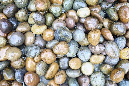 Wet stonesの写真素材