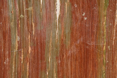 Peeling wood surfaceの写真素材