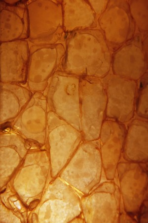 Stone wallの写真素材