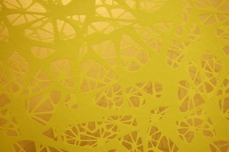 Patterned wallpaperの写真素材