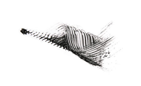 Black mascara brush strokes isolated on whiteの写真素材