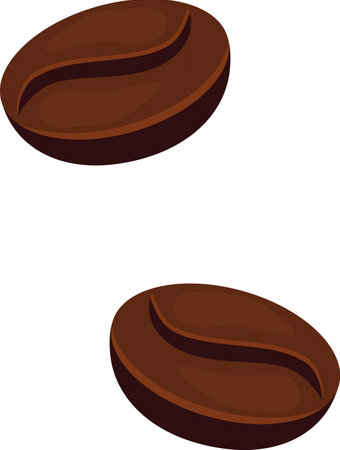 Illustration of two coffee beans on a white background, vector illustrationのイラスト素材