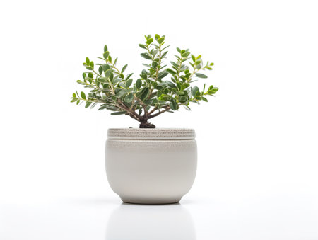 Ceramic Plant Pot Home Decor Isolated on White Background AI Generatedの素材