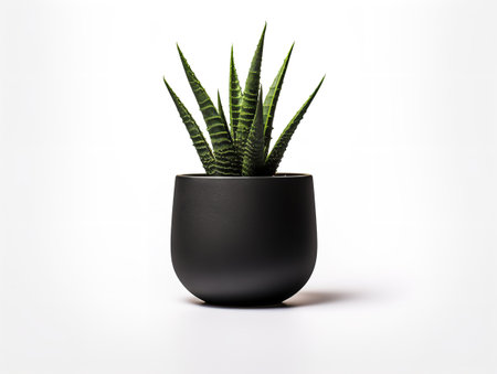 Ceramic Plant Pot Home Decor Isolated on White Background AI Generatedの素材