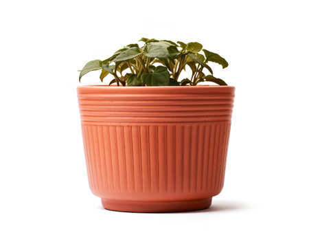 Ceramic Plant Pot Home Decor Isolated on White Background AI Generatedの素材