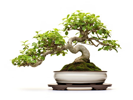 Potted Bonsai Tree Miniature Garden Isolated on White Background AI Generatedの素材