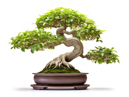 Potted Bonsai Tree Miniature Garden Isolated on White Background AI Generatedの素材