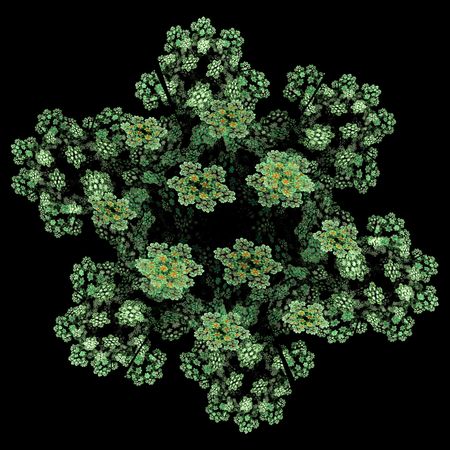 Abstract generated green organism. Fractal Rendered in flamの写真素材