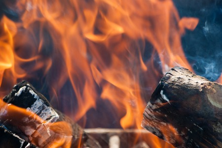 Burning logs. Flames of a campfire, close upの写真素材
