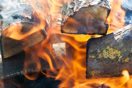 Burning logs. Flames of a campfire, close upの写真素材