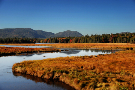 winding river, autumn forest and remote mountainの写真素材