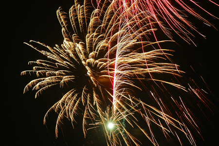 fireworks in the dark sky