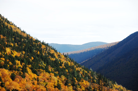autumn mountain and colorful forest