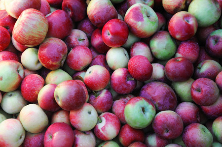 close up on fresh apples