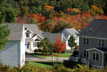 houses in modern residential community with autumn colorful treesの写真素材
