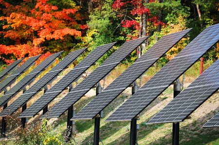 solar panels in a row in front of colorful autumn forest
