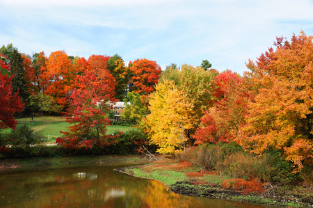 old village farm house in colorful autumn forestの写真素材