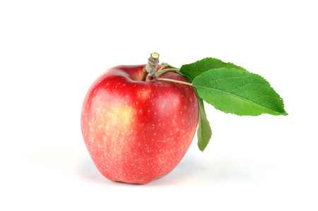 close up on red apple isolated on white backgroundの写真素材