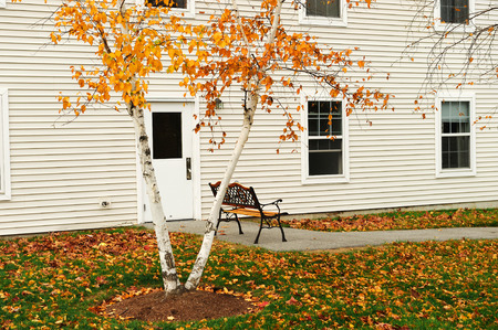 close up on resting bench and autumn yellow tree outside apartment buildingの写真素材