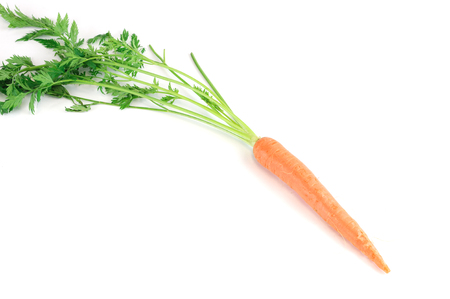 fresh carrot with leaves isolated on white backgroundの写真素材