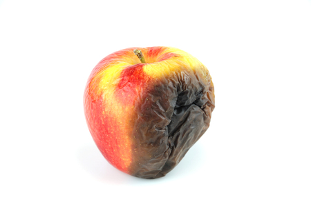 rotten apple isolated on white backgroundの写真素材