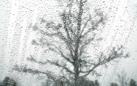 trees in the rain behind window glass with rain dropの写真素材