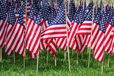 Groups of USA flags on the meadowの写真素材
