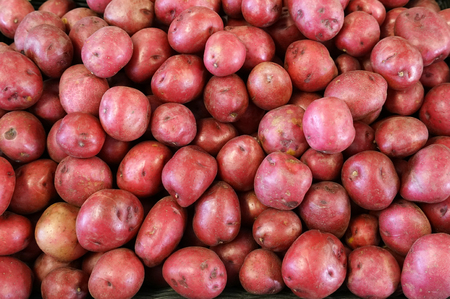 Fresh potato in the supermarket for saleの写真素材