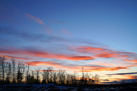 winter trees silhouette in a row with colorful sunset skyの写真素材