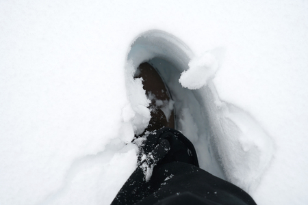 close up on foot trap in the snowの写真素材