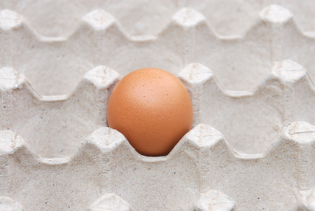 close up on brown egg in egg box isolated on white background
