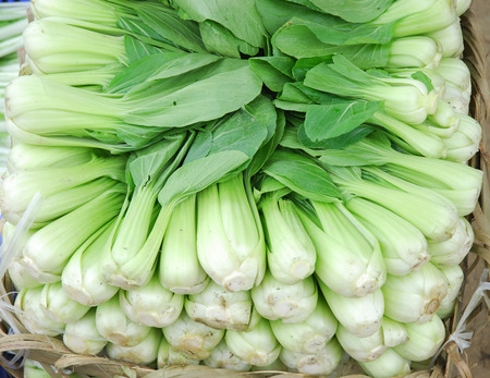close up on Bok choy green leaf Asia vegetable in pile for saleの写真素材