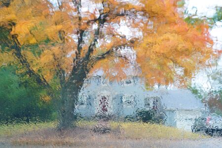 autumn golden tree in residential area through window with rain