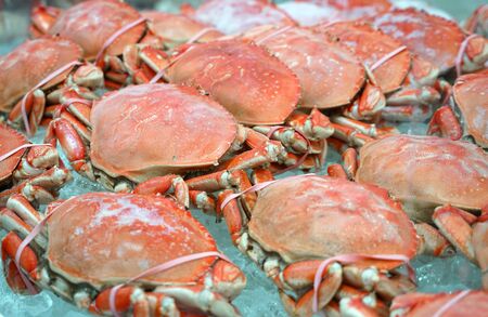 Frozen cooked red crab on the ice for saleの写真素材