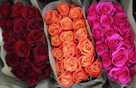 close up on bunches of colorful rosesの写真素材