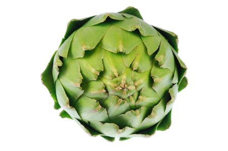 close up on artichoke isolated on white backgroundの写真素材