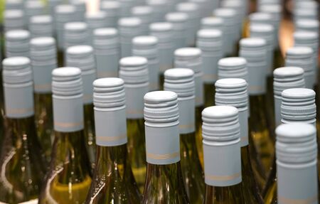 close up on white wine bottles in rowsの写真素材