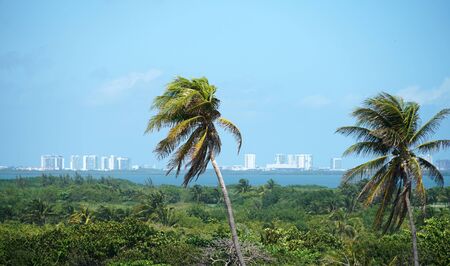 landscape of green tropical forest and city backgroundの写真素材