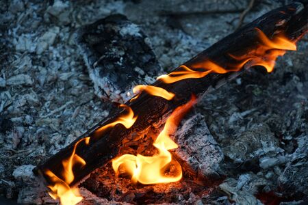 Close up on burning fire wood and flameの写真素材