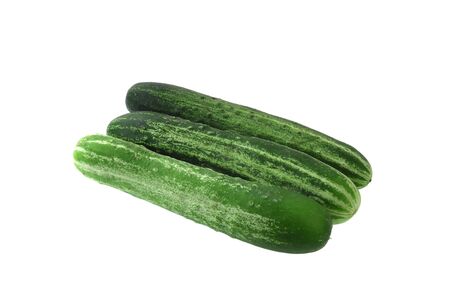 fresh cucumber isolated on the white backgroundの写真素材
