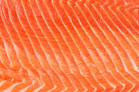 fresh salmon fillet backgroundの写真素材