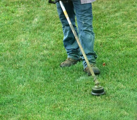 gardener working on trim the lawnの写真素材