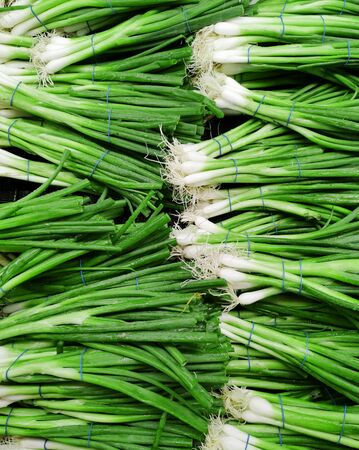 bunches of green onion in store for saleの写真素材